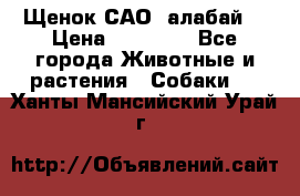 Щенок САО (алабай) › Цена ­ 10 000 - Все города Животные и растения » Собаки   . Ханты-Мансийский,Урай г.